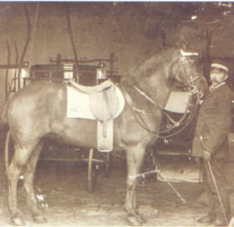 August Johannes van Agthoven, koetsier